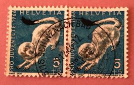 Nr.J 215 Paar mit Stempel Schintnach Bad