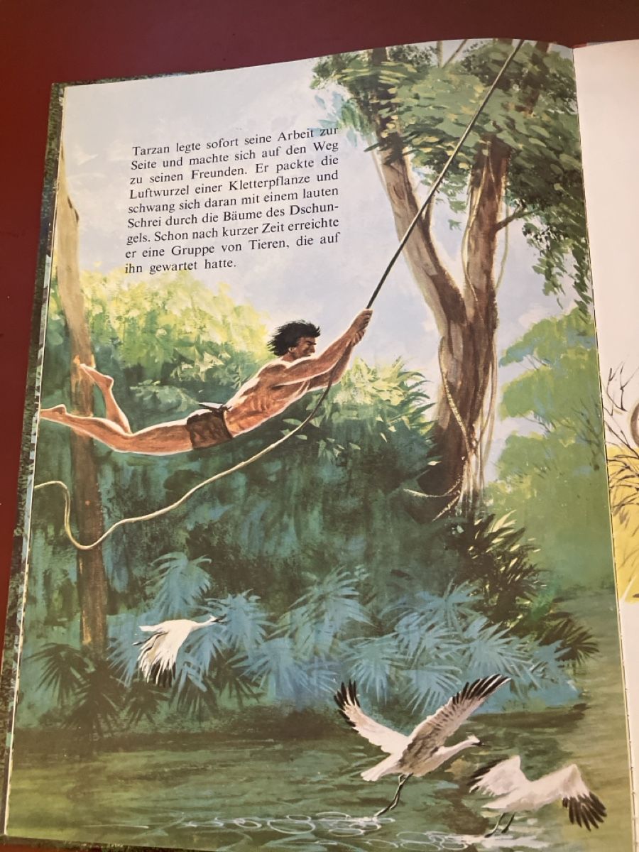 Fumetti: Tarzan von Edgar Rice Burroughs - 1970 – Usato da Bichwil venduto da Bac2 2