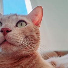 Profile image of vale_sale