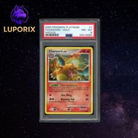 Pokemon PSA 8 Charizard 1/99 Arceus | EN