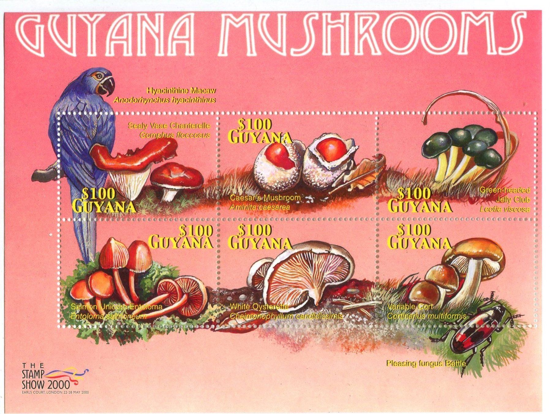Alle Briefmarken: Block "Pilze". Guyana – Neu und originalverpackt aus Basel von Butsch5