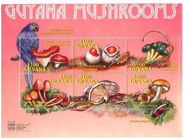 Block "Pilze". Guyana