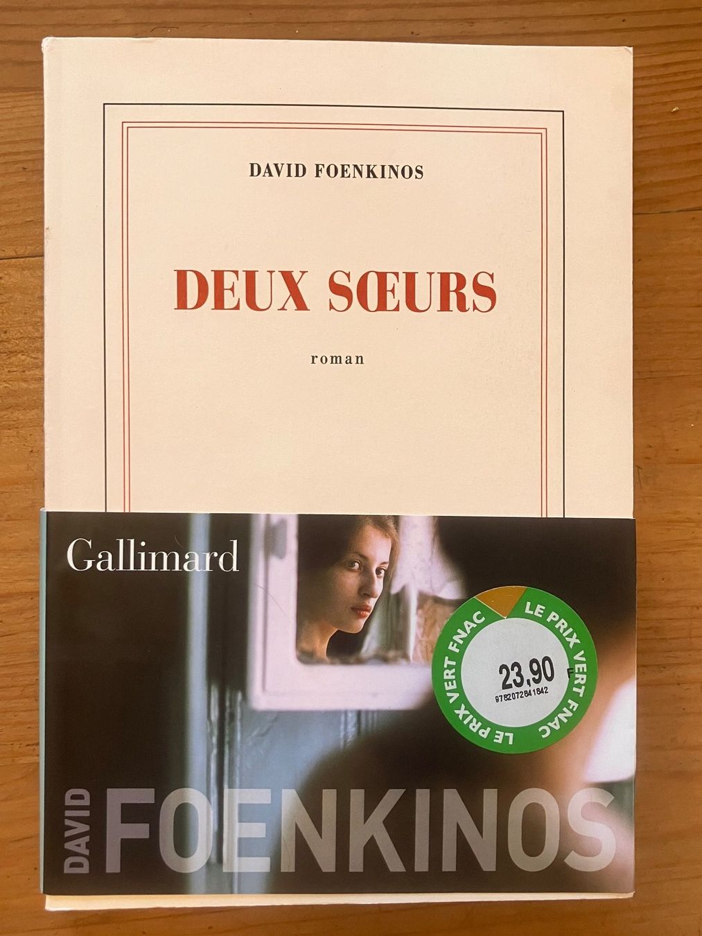 Bücher: Deux Sœurs (David Foenkinos) – Gebraucht aus Meyrin von Julien333