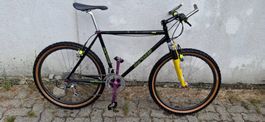 Kult Mtb SEROTTA T-Max USA