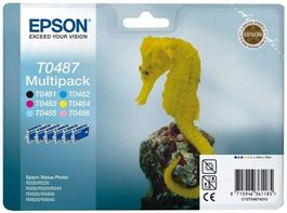 Epson Stylus Photo R200/R300/R340/RX500/RX600/RX640, T0487