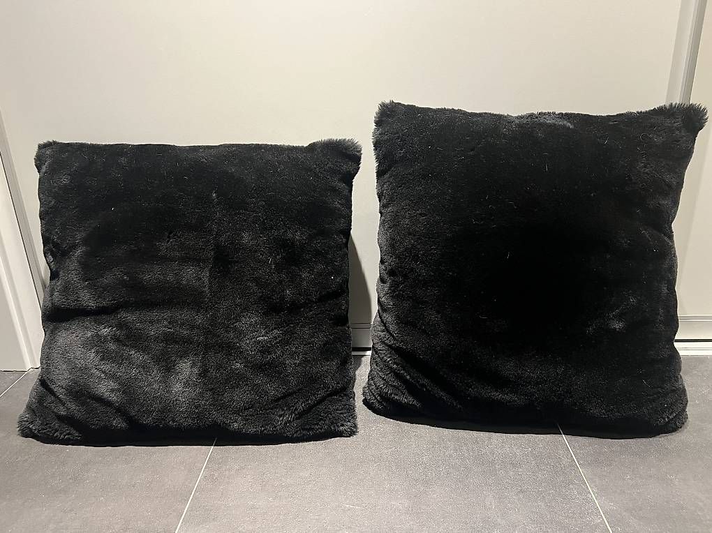 Interio Cuscini: Kissen 55x60cm – Usato da Zollikofen venduto da Crii