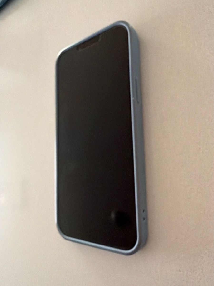 Apple Telefoni cellulari / Smartphones: iPhone 13 Pro Max – Usato da Winkel venduto da gracom