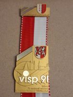 Visp 1991 Meisterschaft (y384)