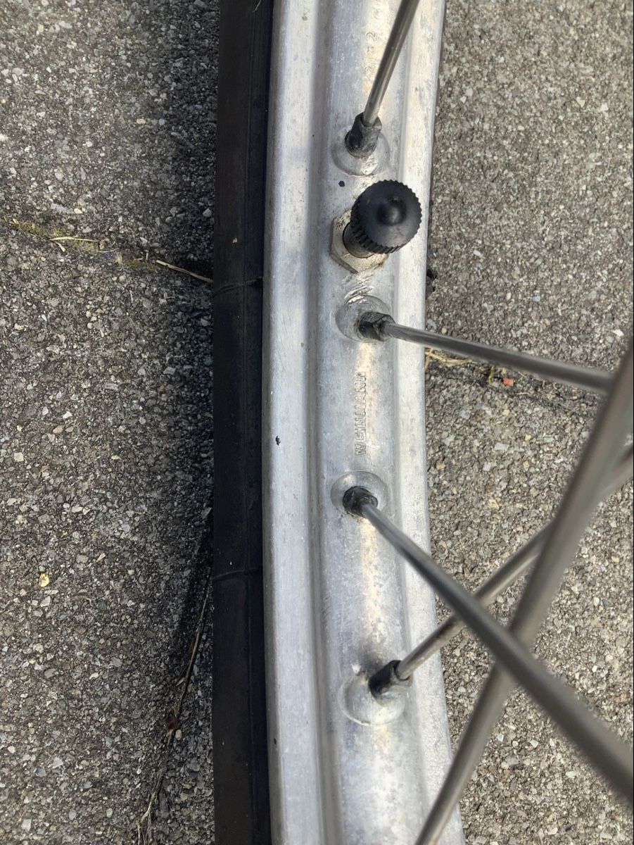 Pneumatici & Ruote complete: Mofa Rad 17 Zoll – Usato da Zofingen venduto da Borni53 3