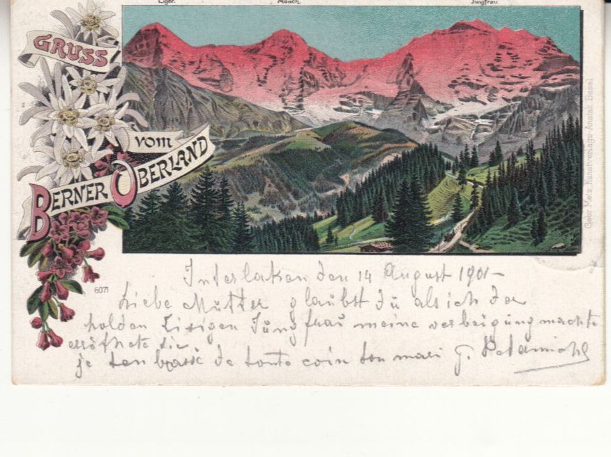Cartoline postali: Berner Oberland 1901 mit Stabstempel Interlaken – Usato da Bürglen TG venduto da StampGraf