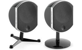 Focal BIRD Schwarz Stück