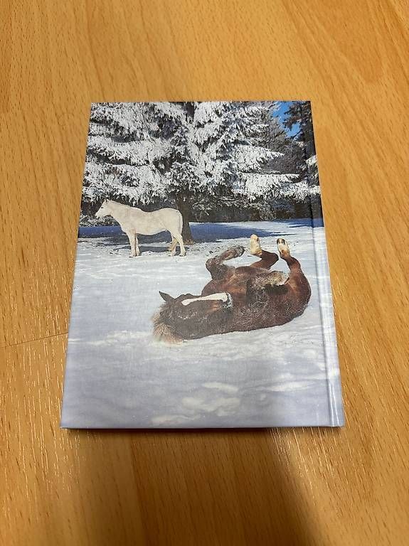 Libri: Kleine Pferdegeschichten – Usato da Morschach venduto da Mario254 1