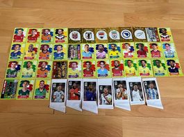 Panini Bilder