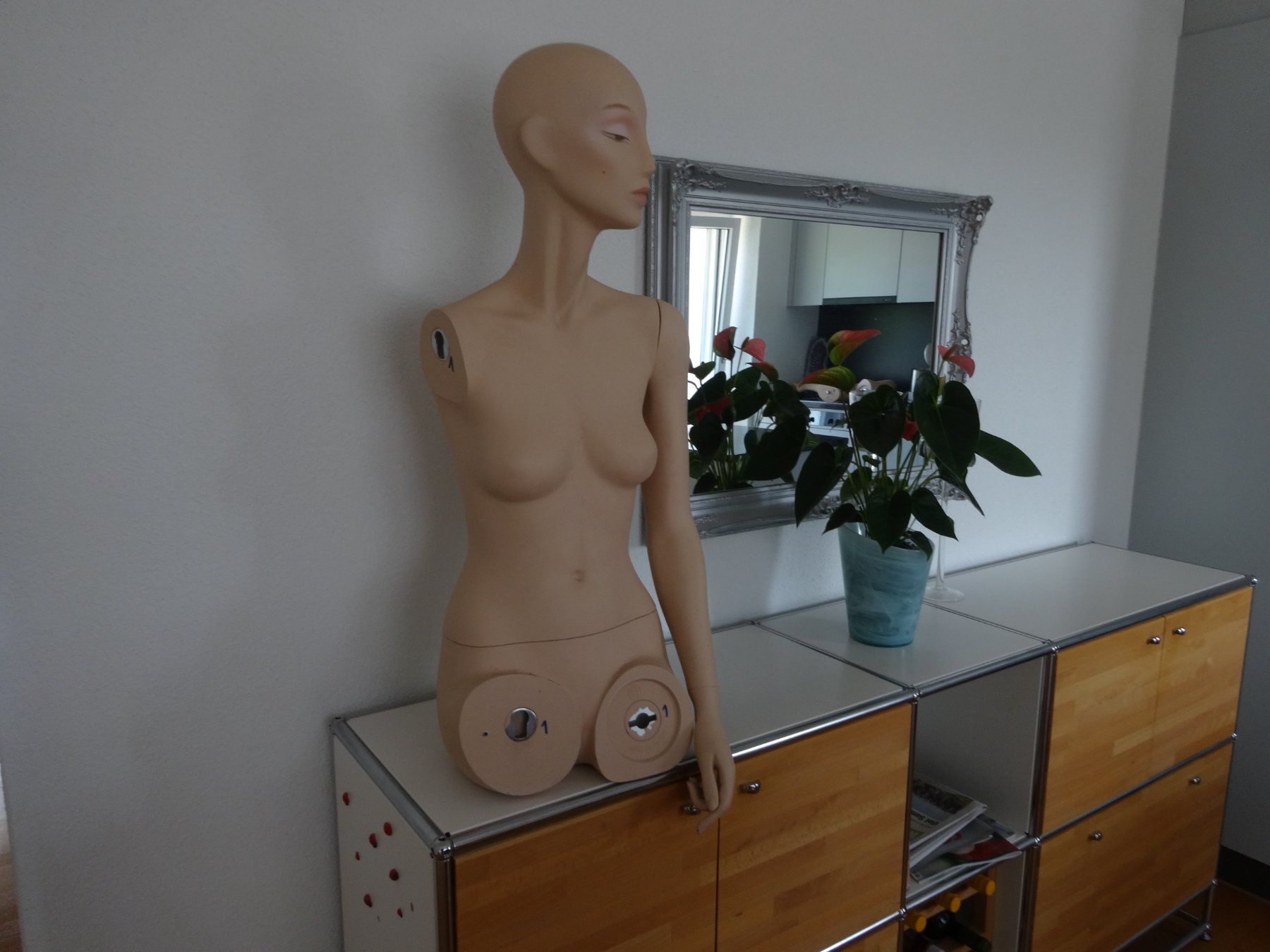 Sonstige Dekorationen & Accessoires: Schaufensterpuppe Torso – Gebraucht aus Frauenfeld von gluecksei 3