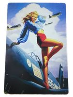 FLUGZEUG MIT VINTAGE GIRL - Blechschild  (neu/OVP)