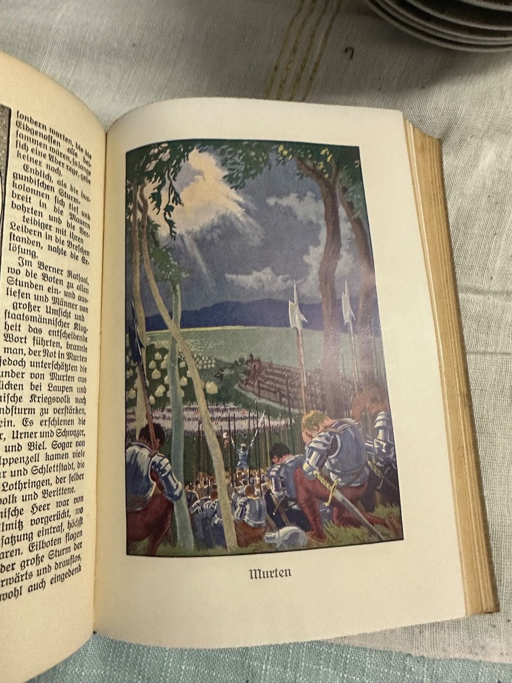 Libri: Antikes Buch: die Geschichte der Schweiz – Usato da Frauenfeld venduto da aluma14 4
