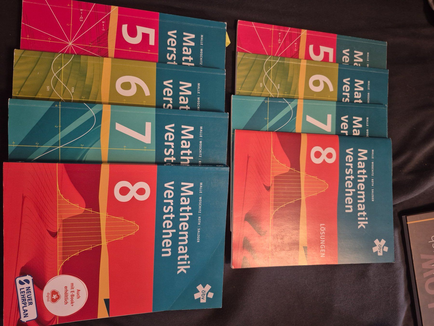 Libri: Mathe verstehen – Usato da Wettingen venduto da rue_27mw