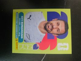 NZL 20