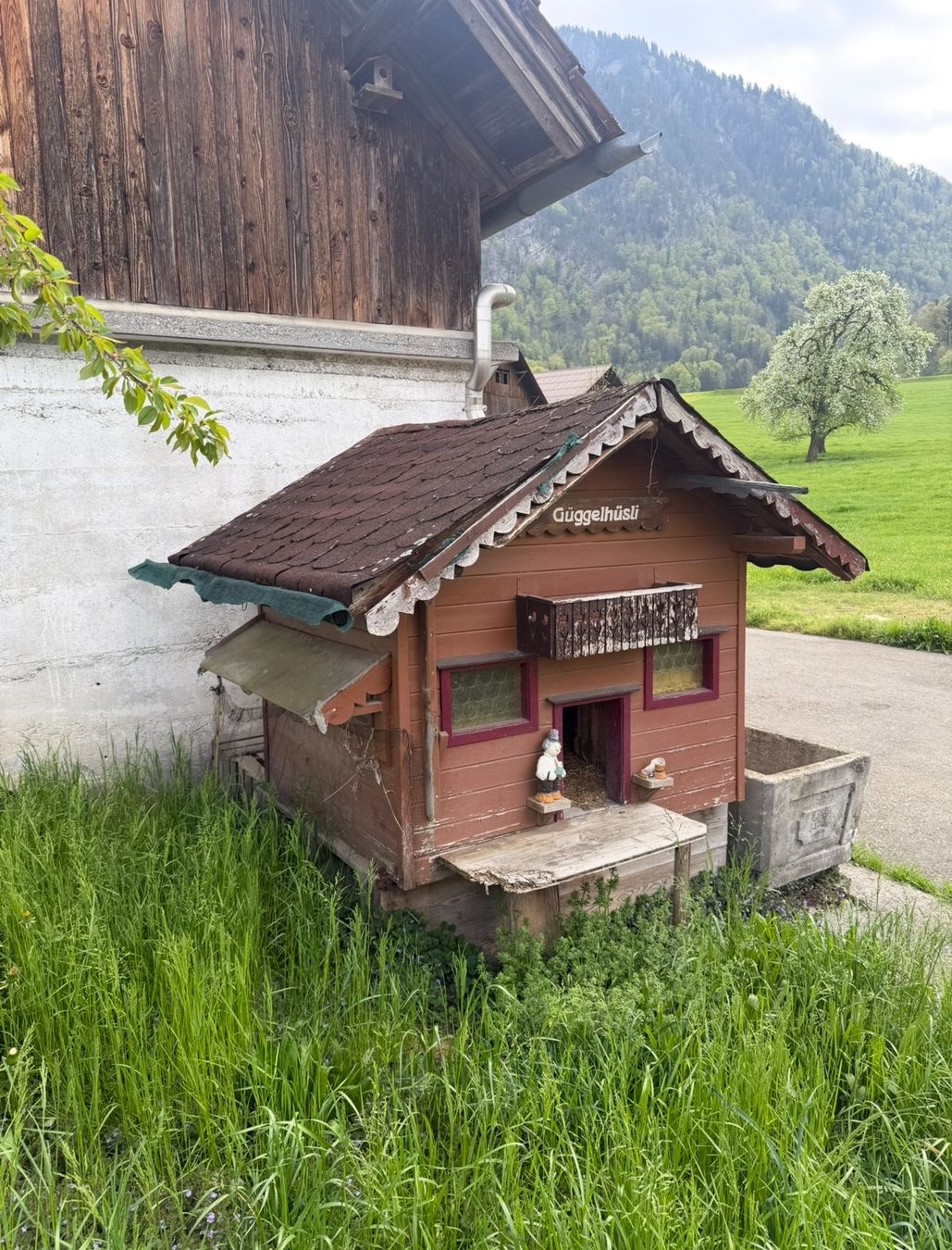 Gabbie, trasporto & Sicurezza: Hühnerstall – Usato da Ennetmoos venduto da Schwand.66.schwand 1