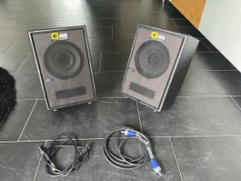 Redsound / G66 RAW-P ELIS.8 FRFR Lautsprecher