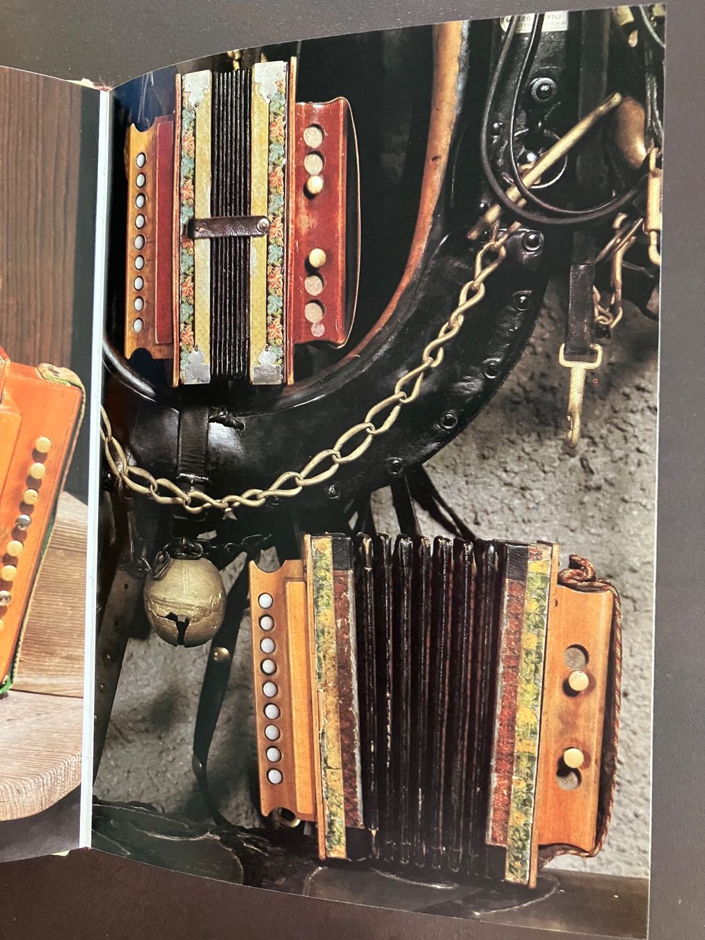 Libri: Ernst Roth: Schwyzerörgeli - erste Auflage 1979 – Usato da Menziken venduto da timbuktu1001 6