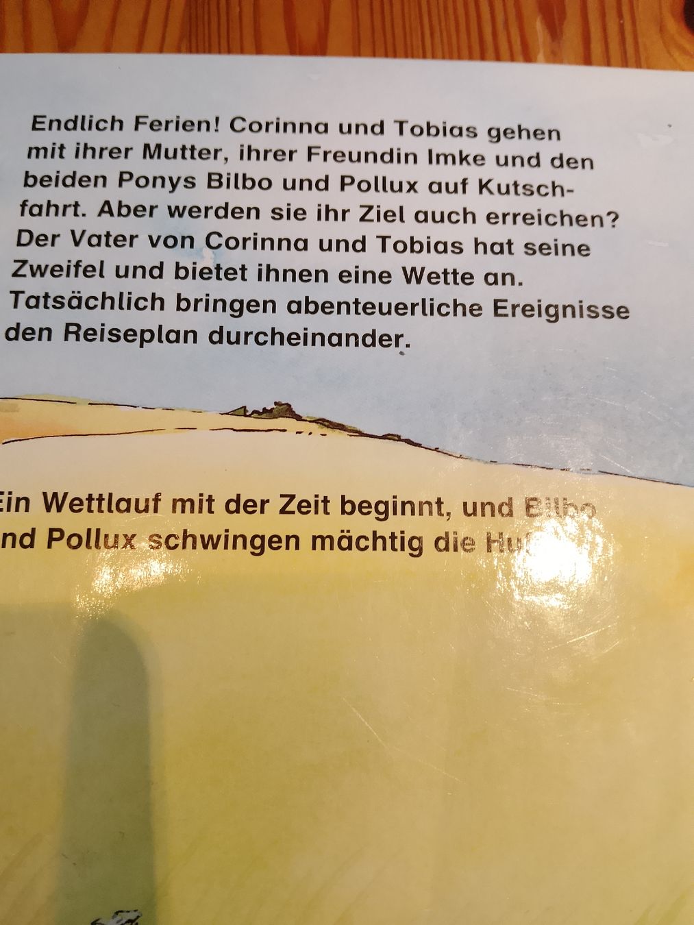 Libri: zwei Ponys machen Ferien  – Nuovo (secondo la descrizione) da Volken venduto da katz5 3