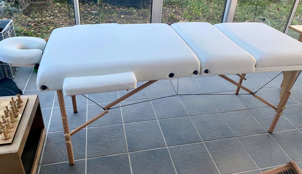 Gonser Massageliege Neuwertig (Neu (gemäss Beschreibung)) in Binningen ...