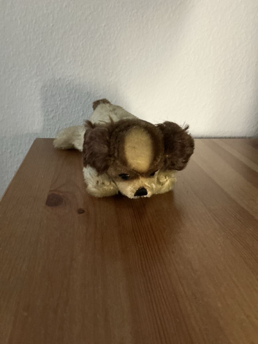 Steiff Giocattoli: Steiff Floppy Cockie Cocker Spaniel – Usato da Basel venduto da S.Wehrli72
