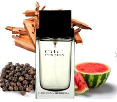 Carolina Herrera Chic for men