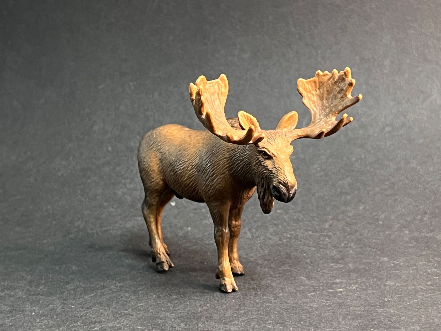 Schleich Figuren: Schleich 14619 - Wild Life, Elch Bulle – Gebraucht aus Ennetbaden von mapa05 2