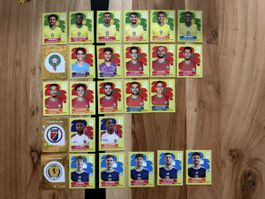 Panini WM 2026 Gruppe C