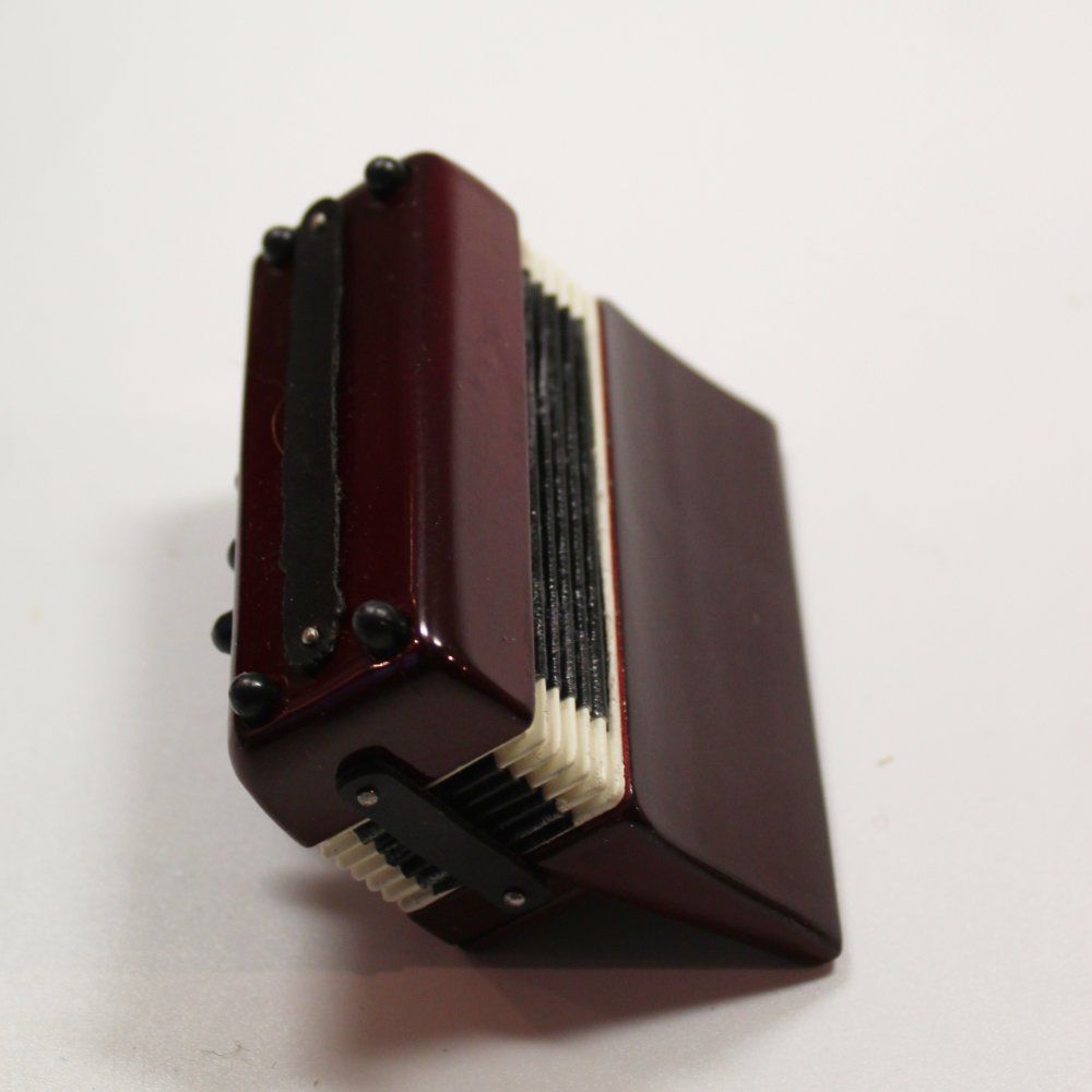 Strumenti musicali: Deko Handorgel mini mit Box - neu – Nuovo (secondo la descrizione) da Weggis venduto da Mylemontree 2