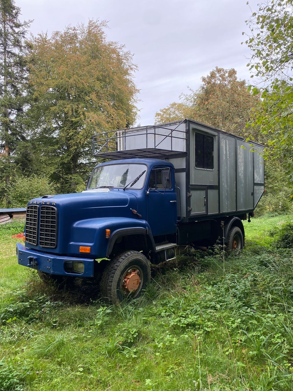 Saurer Lastwagen: Saurer D290 BN 4x4 – Gebraucht aus Urdorf von xtb_q8lx 1