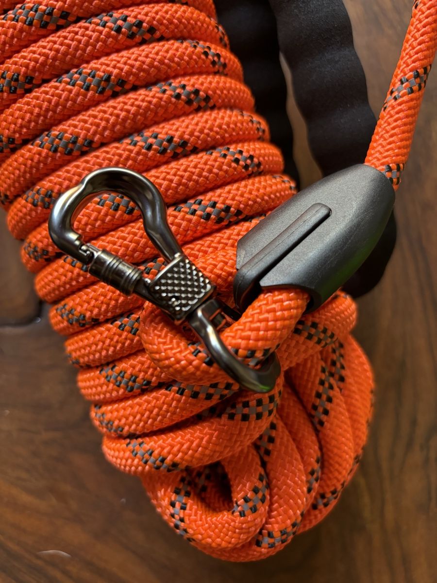 Guinzagli & Collari: Robuste & Reflektierende Hundeleine Orange, gepolstert – Nuovo e nell'imballaggio originale da Dürnten venduto da stefan-kuenzli 3