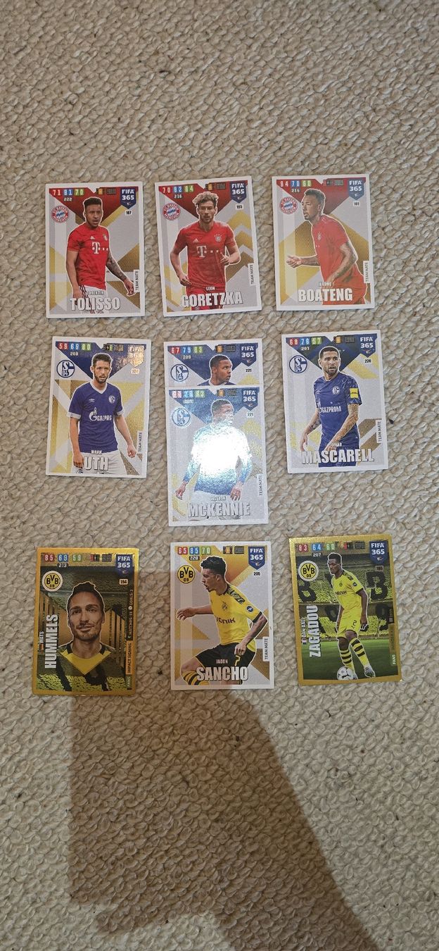 Panini Carte collezionabili: FIFA 365 Karten – Usato da Safnern venduto da Brionne 1