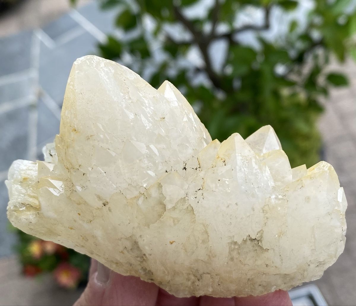 Mineralien & Heilsteine: Schöner Kaktusquarz – Gebraucht aus Selzach von 321compac 7