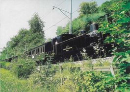 Dampfzug am Brienzersee G 3/4 208