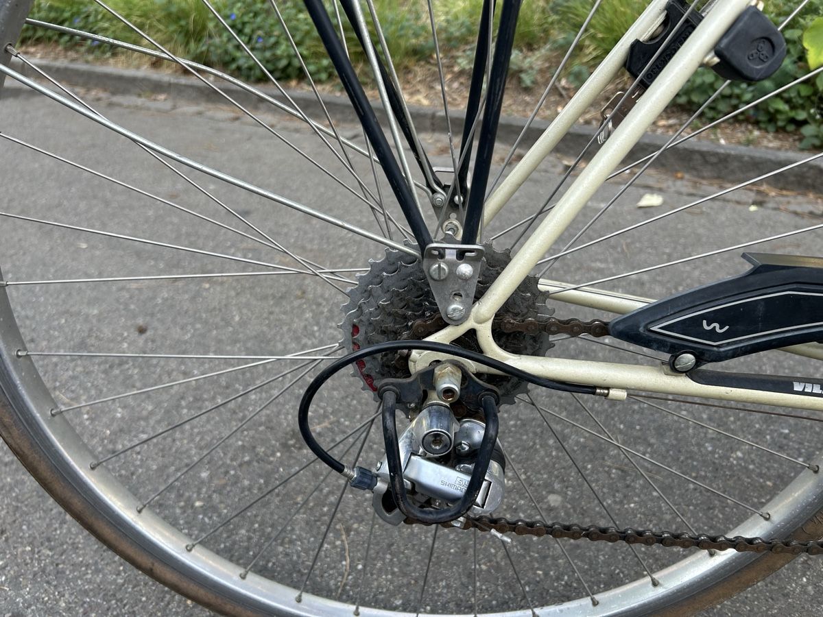 Villiger Biciclette: Villiger San Bernardino – Usato da Basel venduto da Nyarlatothep 2