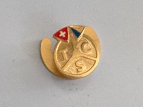 TCS Plaquettes & Badges: TCS Pin, goldfarben – D'occasion à Mönchaltorf par Blechfreund