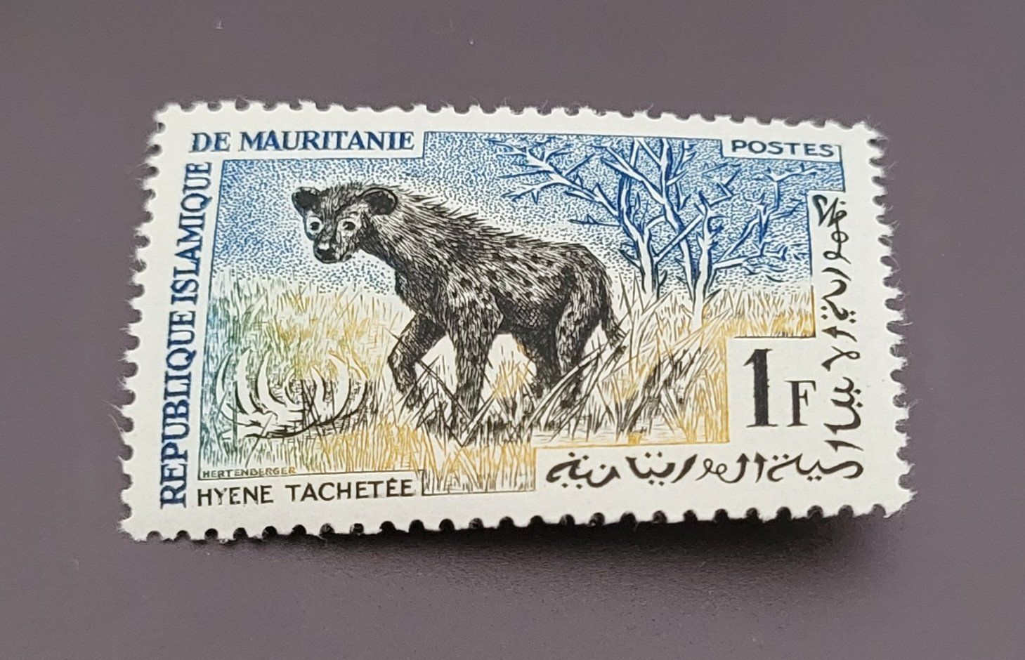 Alle Briefmarken: Mauretanien 1963 tiere briefmarke A021 – Gebraucht aus St Gallen von Stampsalshobby