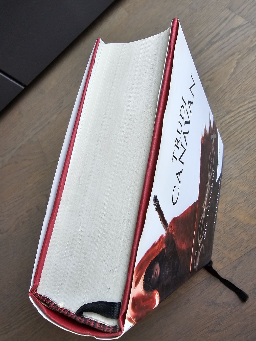 Bücher: Sonea - Trudi Canavan – Gebraucht aus Hinterforst von impatiently 5