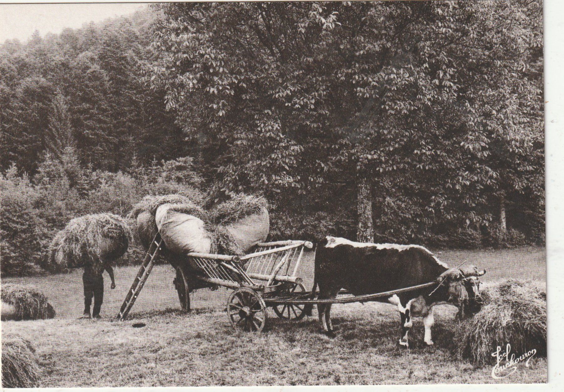 Cartes postales: Die  alten Zeiten – D'occasion à Lumbrein par made02