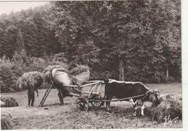 Die  alten Zeiten