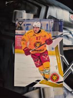 Timo Jenni SCL Tigers 2025/26 Sportzoo 2
