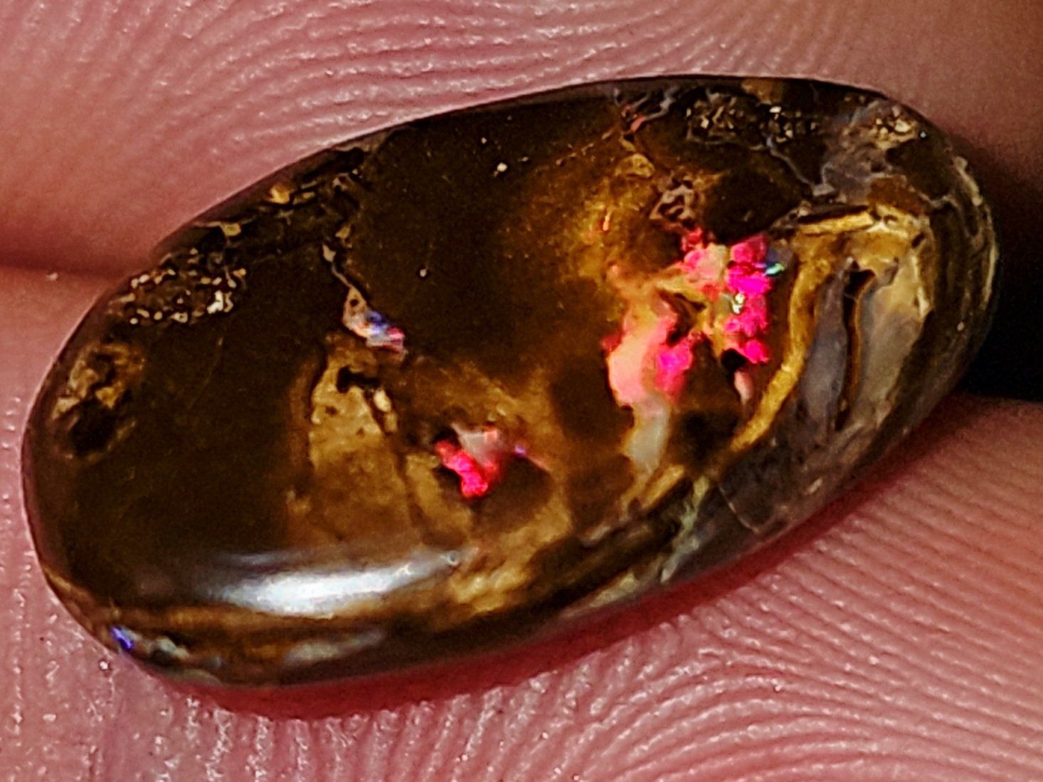 Pietre preziose: Natürlicher Australischer Boulder Opal – Nuovo e nell'imballaggio originale da Uerkheim venduto da Winwinner 6
