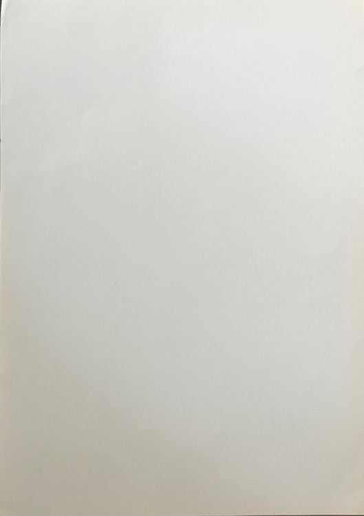 Arts picturaux & lithographies: <<Pechvogel>> Lithographie – D'occasion à Hinwil par Grossformat 4