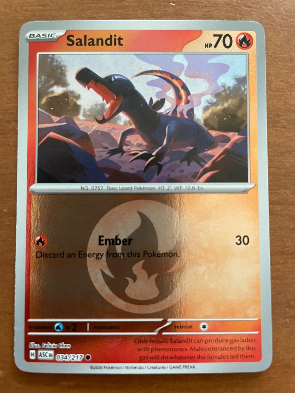 Pokémon Carte collezionabili: Pokemon Salandit Reverse (Versand gratis) – Nuovo (secondo la descrizione) da Chur venduto da Angerson