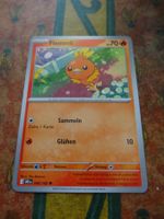 POKEMON  Flemmli    I  DRI DE    040/182    KP70    2025