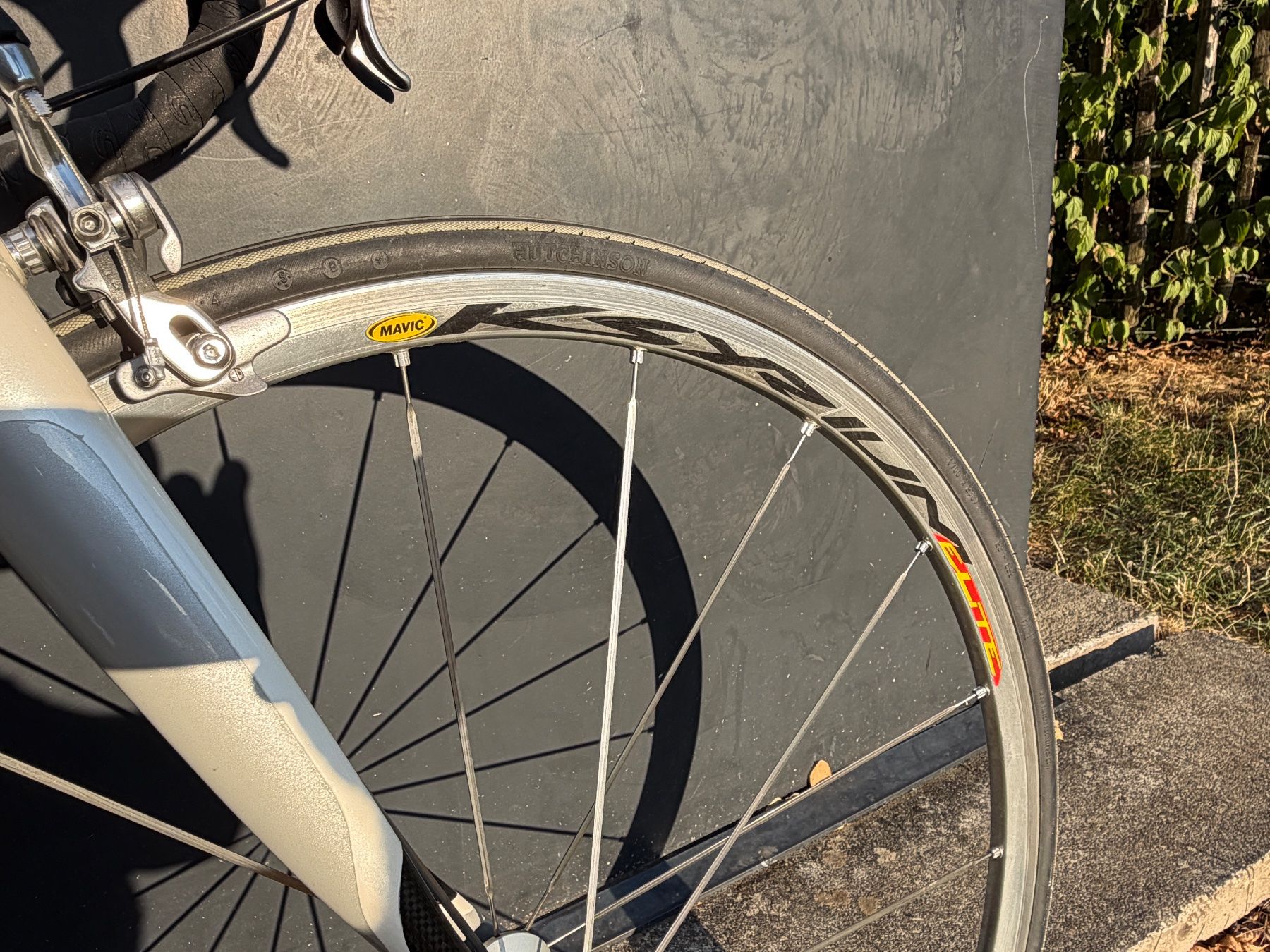 Cannondale Biciclette: Cannondale Synapse Carbon 2008, Shimano Integra, taille 54 – Usato da Genève venduto da cco2 2