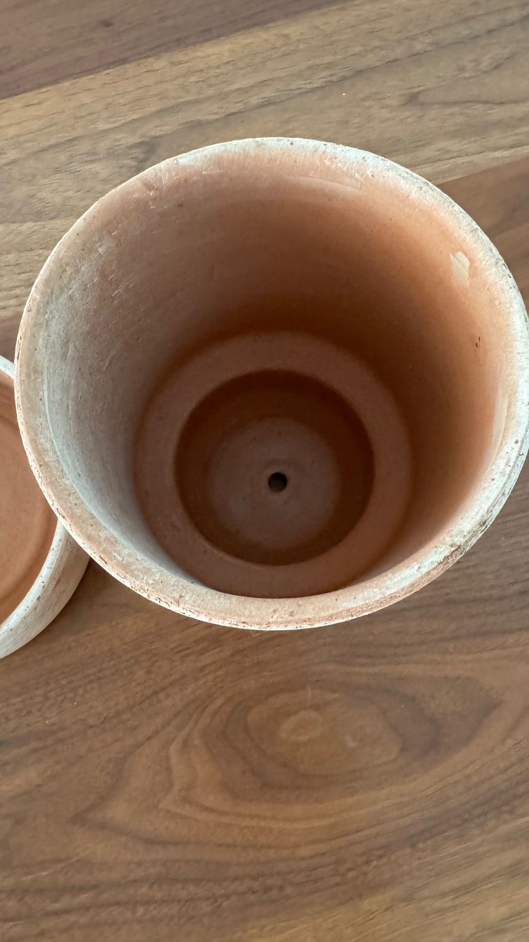 Vasi per fiori: Bergs Potter Hoff Pot Blumentopf+Unterteller 2er Set NP61 – Nuovo (secondo la descrizione) da Riehen venduto da To120 7